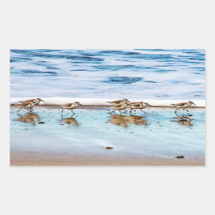 Pegatina Rectangular Sandpipers En La Playa