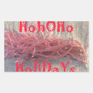 Pegatina Rectangular Santa HoHoHo Feliz Navidad desde los colores de la