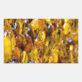 Pegatina Rectangular Santo Tomás 2