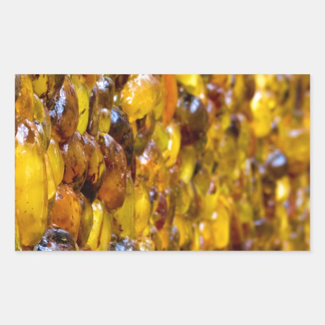 Pegatina Rectangular Santo Tomás 2 (Anverso)