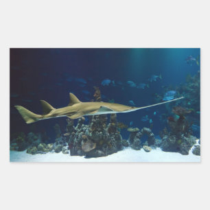 Pegatina Rectangular Sawfish llamativo
