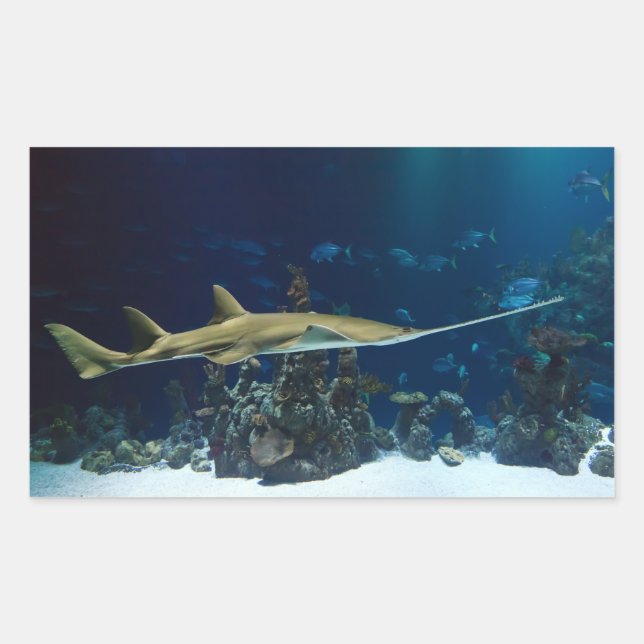 Pegatina Rectangular Sawfish llamativo (Anverso)