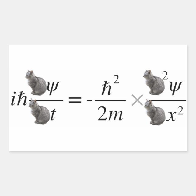 Pegatina Rectangular Schrodinger's cat (Anverso)