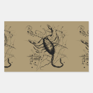 Pegatina Rectangular Scorpio Constellation Hevelius circa 1690 Vintage