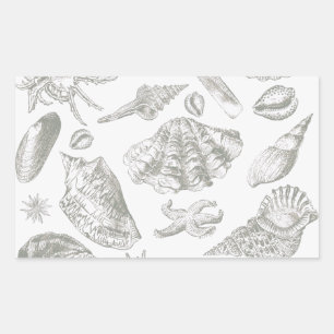 Pegatina Rectangular Seashell Soft Antique Art Beach Shells