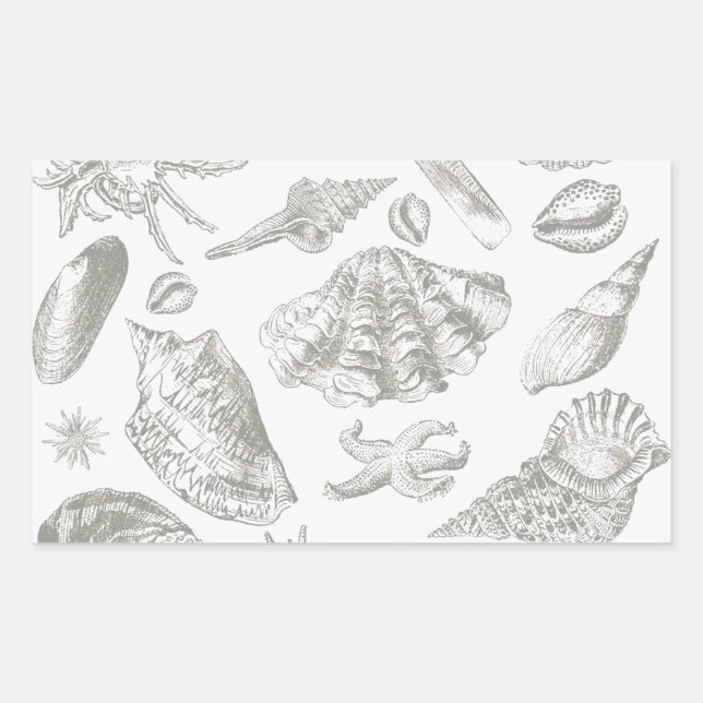 Pegatina Rectangular Seashell Soft Antique Art Beach Shells (Anverso)