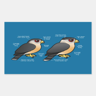 Pegatina Rectangular Sharpie del gallinero v