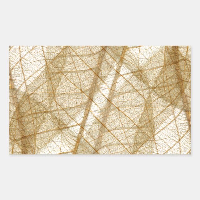 Pegatina Rectangular Sheer Cream Beige Lace Leaves (Anverso)