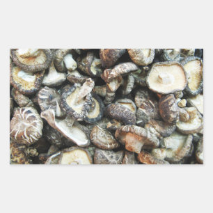 Pegatina Rectangular Shiitake Mushrooms
