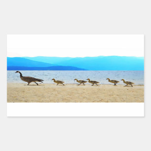 Pegatina Rectangular Shore Patrol Canada Geese