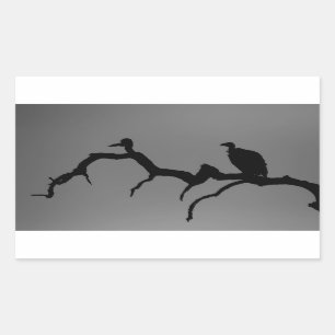 Pegatina Rectangular Silhouette Vulture