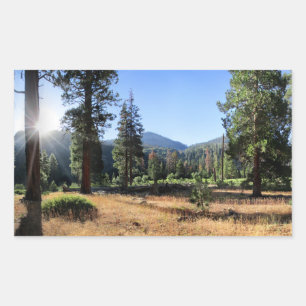 Pegatina Rectangular Simpson Meadow - Sierra