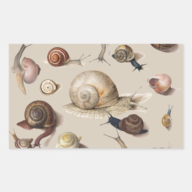 Pegatina Rectangular Snail Garden Mascota Gastropod Slug Caracoles botá (Anverso)
