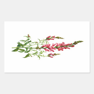 Pegatina Rectangular Snapdragon rosa extraído de la naturaleza
