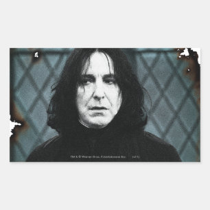 Pegatina Rectangular Snape 1