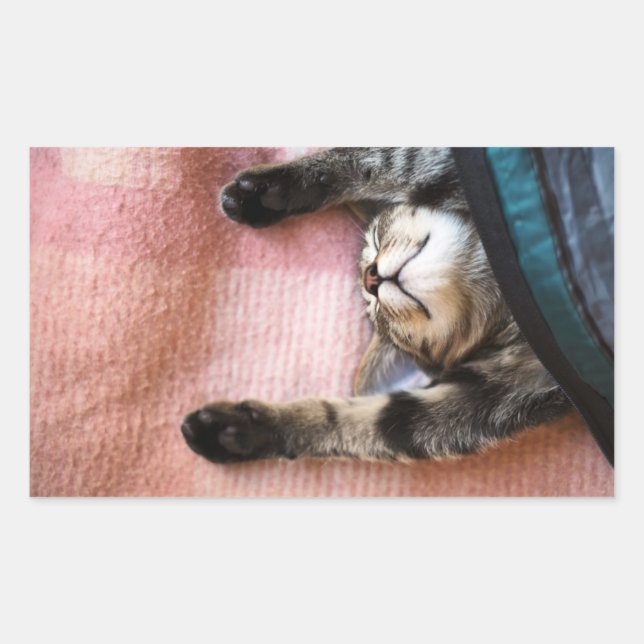 Pegatina Rectangular Snoozing Kitten (Anverso)