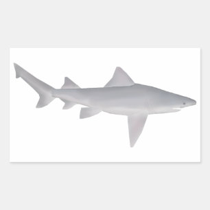 Pegatina Rectangular Speartooth Shark