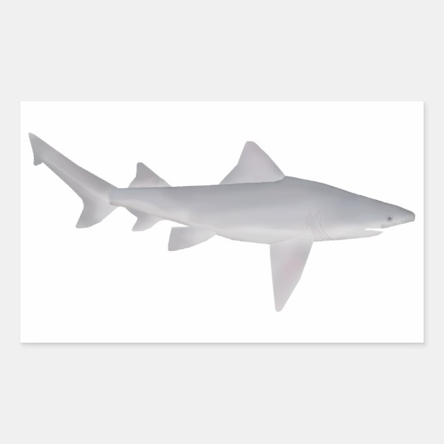 Pegatina Rectangular Speartooth Shark (Anverso)