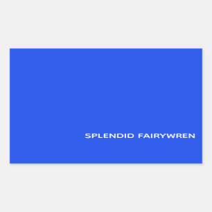 Pegatina Rectangular Splendid Fairywren Blue Color Name