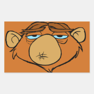 Pegatina Rectangular Sr. Chim