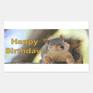 Pegatina Rectangular Sr. Squirrel deseando un feliz cumpleaños