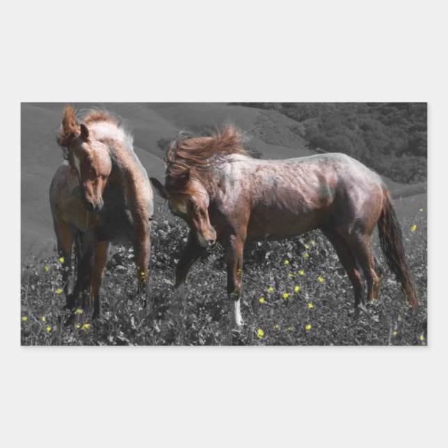 Pegatina Rectangular Stallion Spar (Anverso)