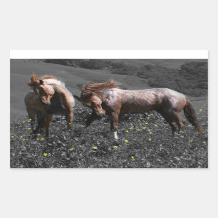 Pegatina Rectangular Stallion Spar