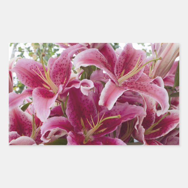 Pegatina Rectangular Stargazer Lilies (Anverso)
