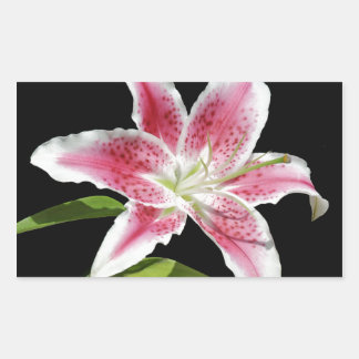 Pegatina Rectangular Stargazer Lily