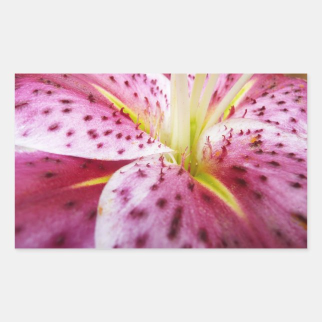 Pegatina Rectangular Stargazer Lily Bright Magenta Floral (Anverso)