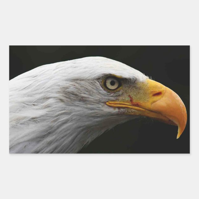 Pegatina Rectangular Stcna de Eagle (Anverso)