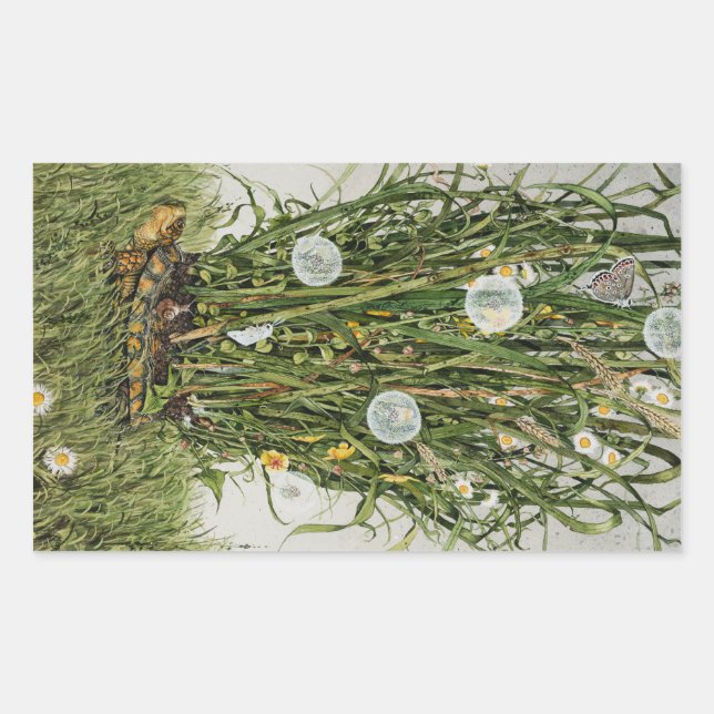 Pegatina Rectangular Stray Sod (Anverso)