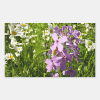 Pegatina Rectangular Summer Lilac y Daisies