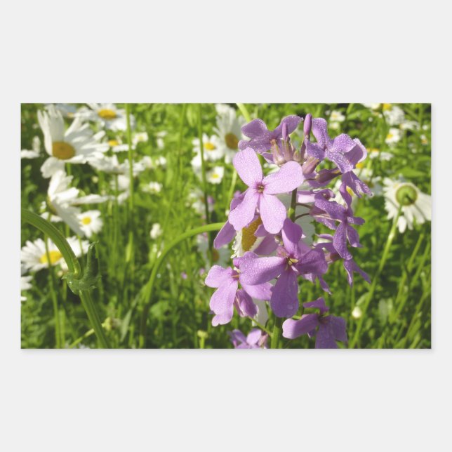 Pegatina Rectangular Summer Lilac y Daisies (Anverso)
