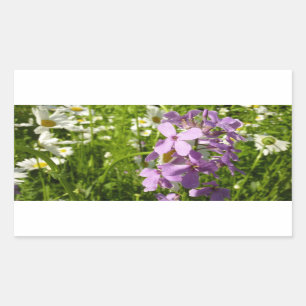 Pegatina Rectangular Summer Lilac y Daisies