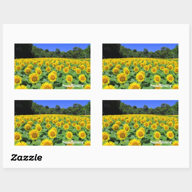 Pegatina Rectangular Sunflower：Rectangle Seal (Hoja)
