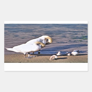 PEGATINA RECTANGULAR SWANS