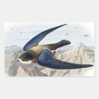 Pegatina Rectangular Swift