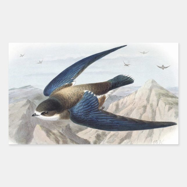 Pegatina Rectangular Swift (Anverso)