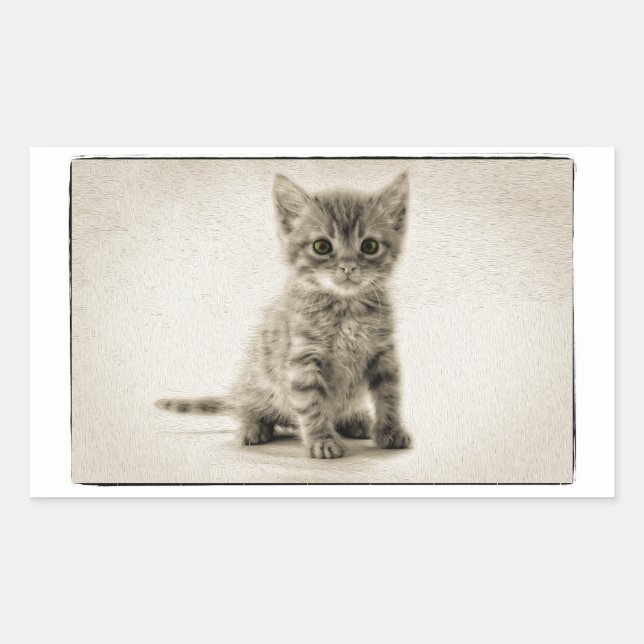 Pegatina Rectangular Tabby Kitty (Anverso)