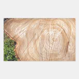 Pegatina Rectangular Tapón de árbol recién cortado