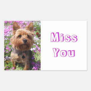 Pegatina Rectangular Te Extraño Stickers de Perro Cachorro Yorkshire Te