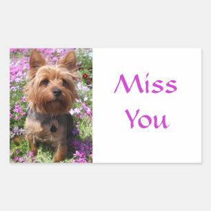 Pegatina Rectangular Te Extraño Stickers de Perro Cachorro Yorkshire Te
