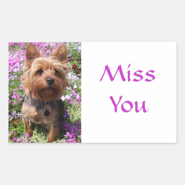 Pegatina Rectangular Te Extraño Stickers de Perro Cachorro Yorkshire Te (Anverso)