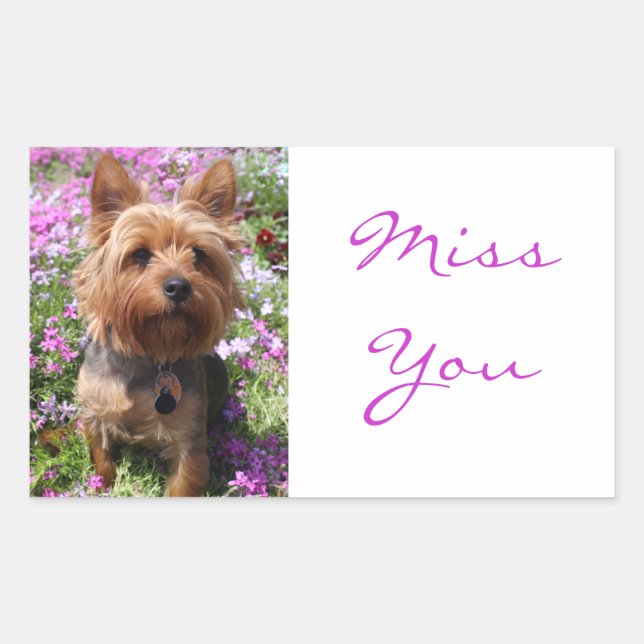 Pegatina Rectangular Te Extraño Stickers de Perro Cachorro Yorkshire Te (Anverso)