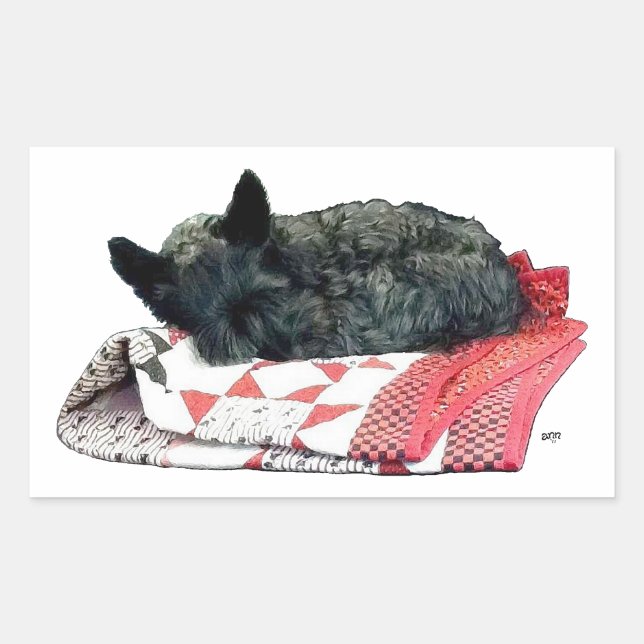 Pegatina Rectangular Terrier Escocés Durmiendo (Anverso)