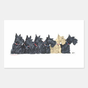 Pegatina Rectangular Terriers Escoceses negros y trigueños
