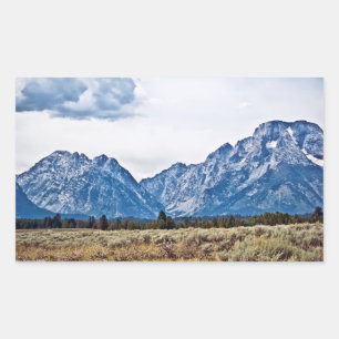 Pegatina Rectangular Tetón 6976