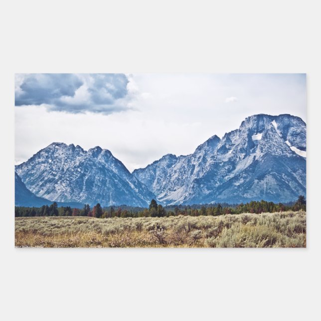 Pegatina Rectangular Tetón 6976 (Anverso)