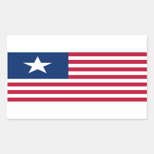 Pegatina Rectangular Texas, estrella solitaria y franjas